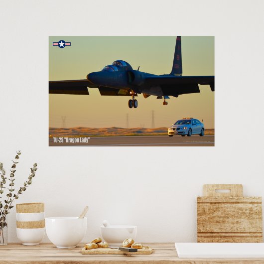 TU-2S DRAGON LADY POSTER (Küche)