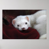 Tu chantais si bien... poster (Vorne)