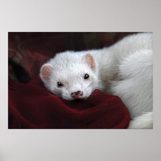 Tu chantais si bien... poster (Vorne)