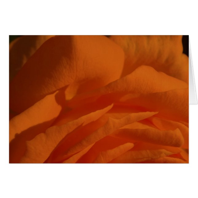 Tú eres MI amor, MI vida (Vorderseite (Horizontal))