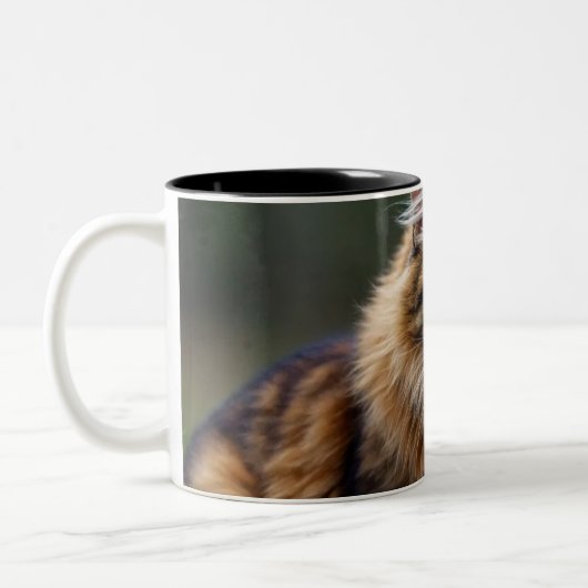 Tu Felin,Amantes de los Gatos Zweifarbige Tasse (Links)