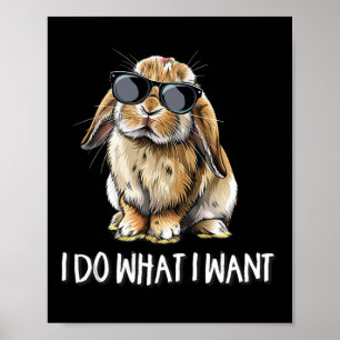 Tu, was ich Mini Holland Lop Bunny Rabbit Lover Ge Poster