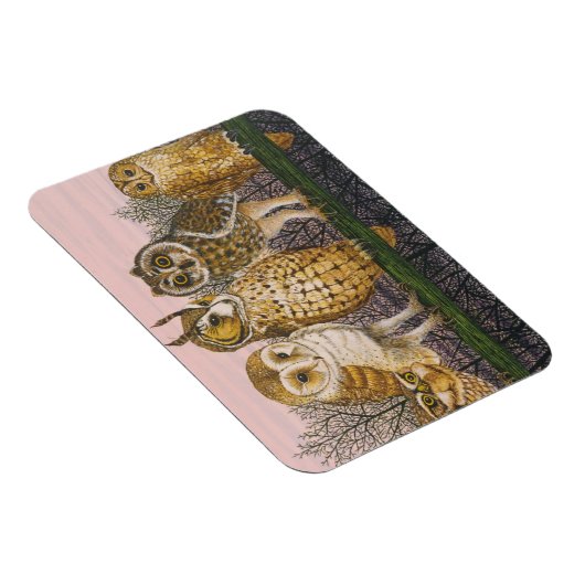 Tu-whit Tu-whowing Magnet (Rechte Seite)