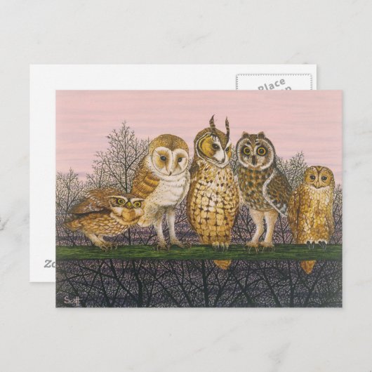 Tu-whit Tu-whowing Postkarte (Vorne/Hinten)