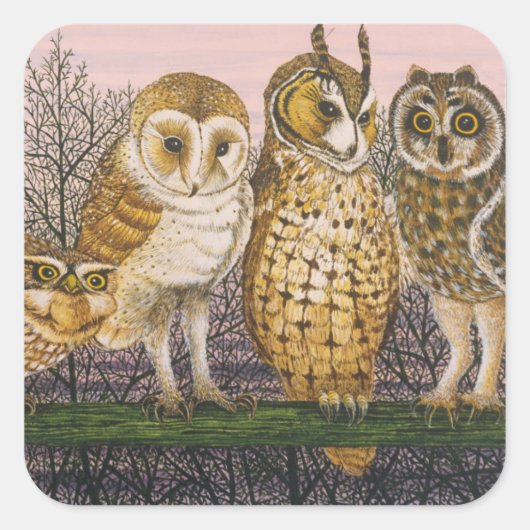 Tu-whit Tu-whowing Quadratischer Aufkleber (Vorderseite)