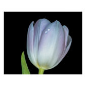 Tu y yo. poster (Vorderseite)