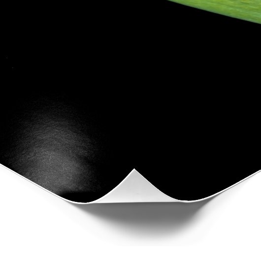 Tu y yo. poster (Ecke)