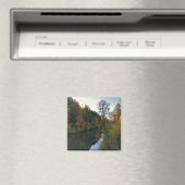 Tualatin-Fluss, Oregon Magnet (In Situ (Geschirrspüler))