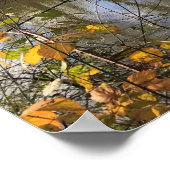 Tualatin-Fluss, Oregon Poster (Ecke)