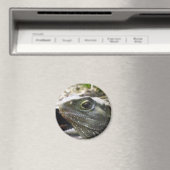 Tuatara Magnet (In Situ (Geschirrspüler))