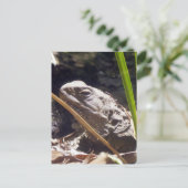 Tuatara Postkarte (Stehend Vorderseite)