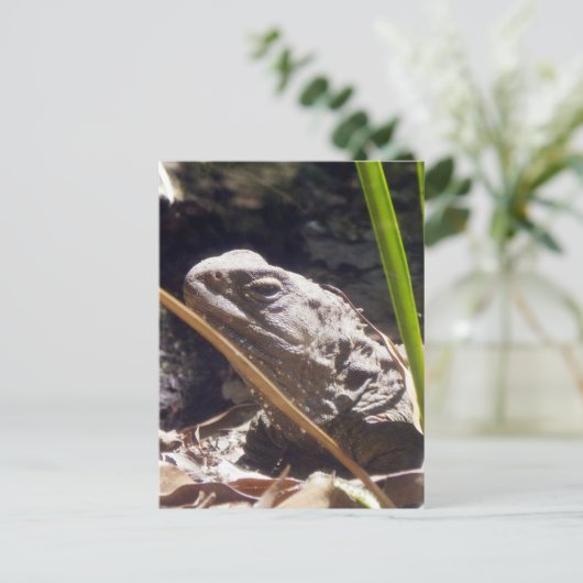 Tuatara Postkarte (Stehend Vorderseite)