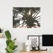 Tuba (Coconut Wine) Gatherer, Tuba (Coconut Win.. Poster (Heimbüro)