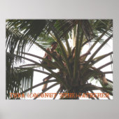 Tuba (Coconut Wine) Gatherer, Tuba (Coconut Win.. Poster (Vorne)