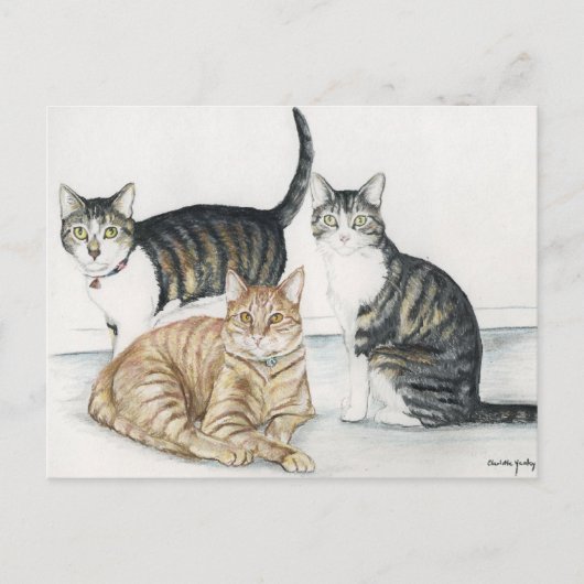 Tubby, Tiger und Tiny Original Art Postcard Postkarte (Vorderseite)