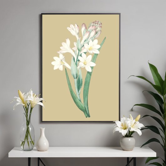 Tuberose, Vintage Blume Botanische Illustration Poster