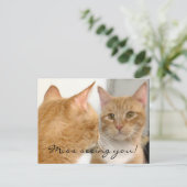 Tubo - Verpassen Sie nicht, Sie zu sehen! Postkart Postkarte (Stehend Vorderseite)