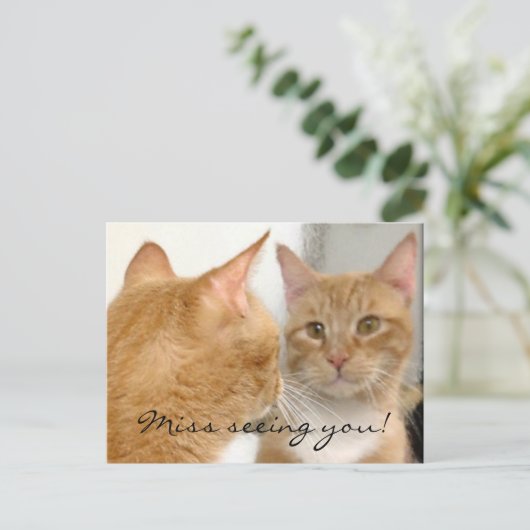 Tubo - Verpassen Sie nicht, Sie zu sehen! Postkart Postkarte (Stehend Vorderseite)