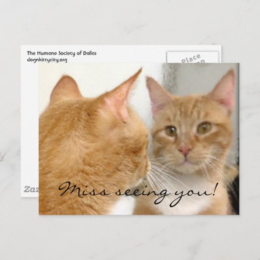 Tubo - Verpassen Sie nicht, Sie zu sehen! Postkart Postkarte (Vorne/Hinten)