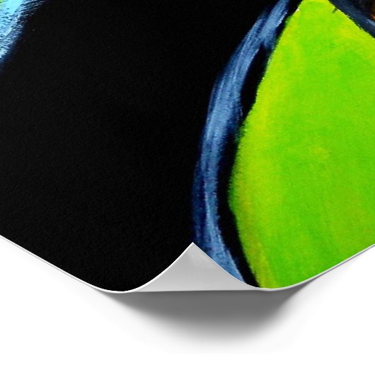Tucan Closeup Poster (Ecke)