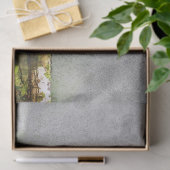 Tucan-Vogelpapier Seidenpapier (Geschenk)