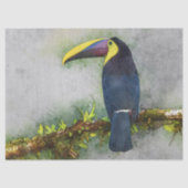 Tucan-Vogelpapier Seidenpapier (Vorderseite)