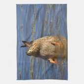 Tücher oben (Vertikal)