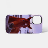 Tucker im Snow iPhone 12 Mini-Fall iPhone Hülle (Rückseite (Horizontal))