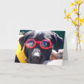 Tucker in Goggles Conservation Hunde Labrador Karte (Gelbe Blume)