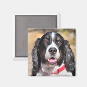 Tucker Magnet (Vorderseite/Rückseite)