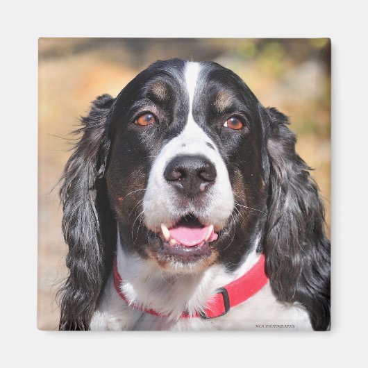 Tucker Magnet (Vorne)