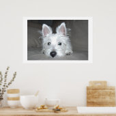 Tucker Poster (Küche)