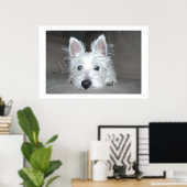 Tucker Poster (Heimbüro)