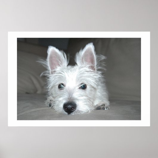 Tucker Poster (Vorne)