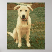 Tucker  poster (Vorne)