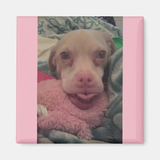 Tucker trägt die Goggles Pink Accent Magnet