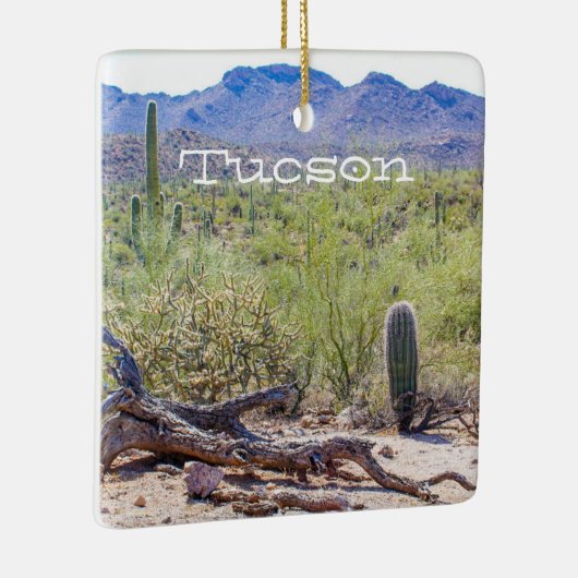 Tucson Arizona Keramikornament (Rechts)