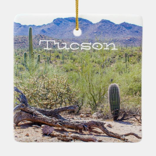 Tucson Arizona Keramikornament (Rückseite)