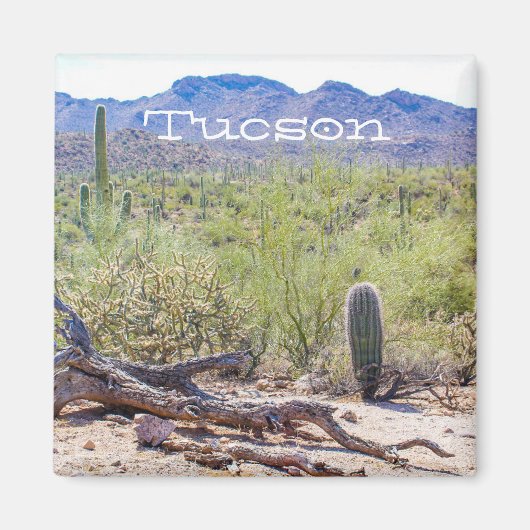Tucson Arizona Magnet (Vorne)