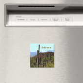 Tucson Arizona Magnet (In Situ (Geschirrspüler))