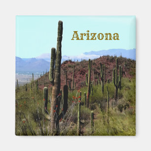 Tucson Arizona Magnet