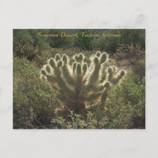 Tucson Arizona Postkarte
