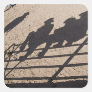 Tucson, Arizona: Schatten der Konkurrenten von Rod Quadratischer Aufkleber