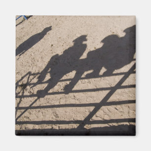 Tucson, Arizona: Schatten von Rodeo-Teilnehmern Magnet