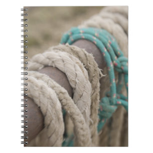 Tucson, Arizona: Seile und hanrnesses an benutzt Notizblock