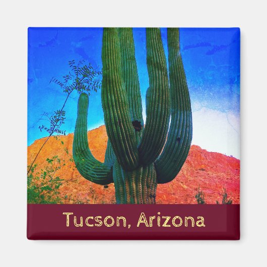 Tucson, Arizona Wüste Cactus Magnet (Vorne)