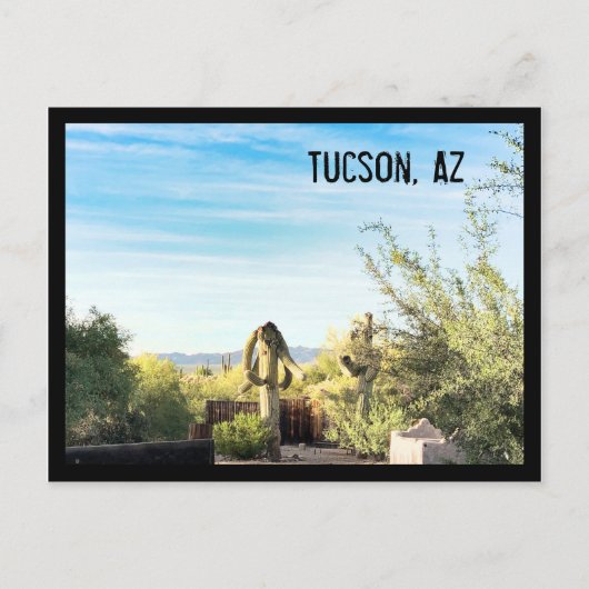 Tucson, Az Postcard Postkarte (Vorderseite)