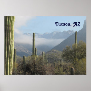 Tucson Desert Poster