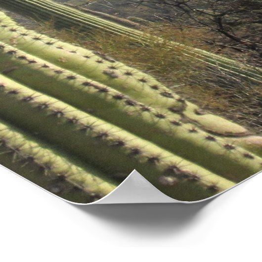 Tucson Desert Poster (Ecke)