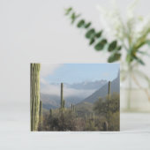 Tucson Wüste Postkarte (Stehend Vorderseite)